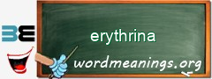 WordMeaning blackboard for erythrina